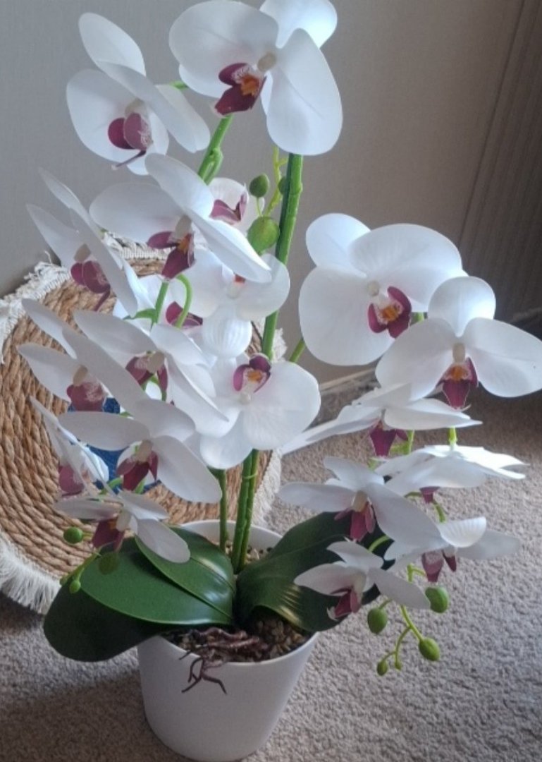 Artificial White Orchid Plant