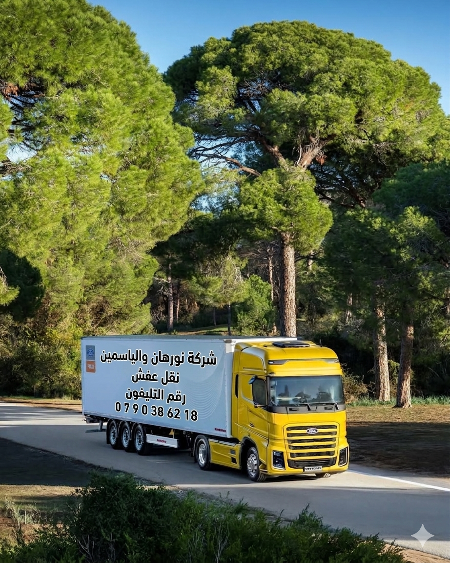 Moving and Furniture Transport Services